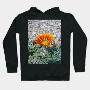 Beautiful Summer Orange Flower Hoodie